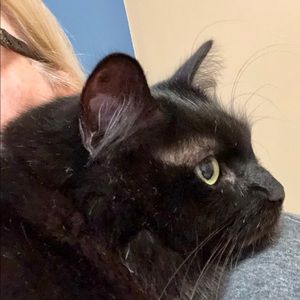 Meet your Posher, Luanna